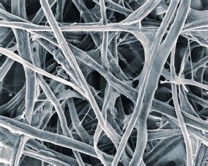 Microscopio di microperle di cellulosa
